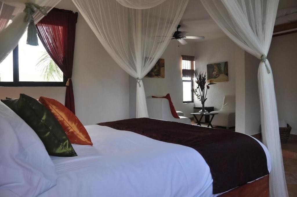 Flamingo Hotel Cozumel Luaran gambar