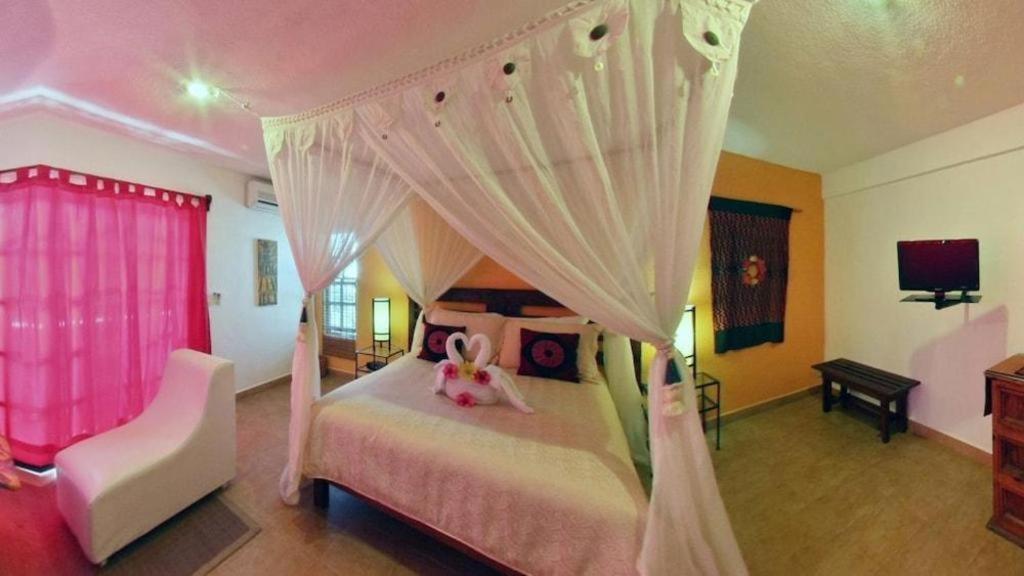 Flamingo Hotel Cozumel Luaran gambar